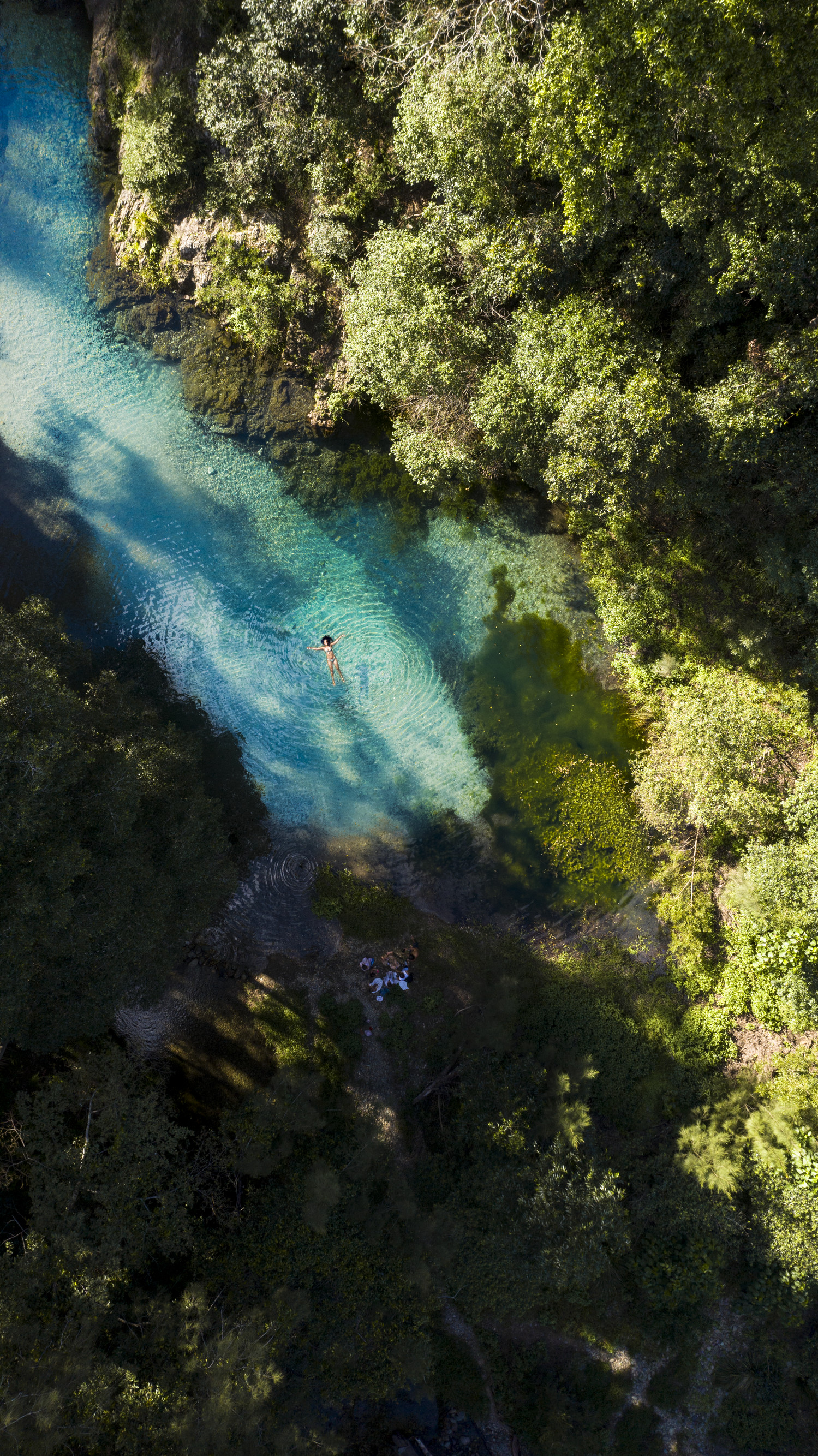 Swimming at a waterhole Booloumba Falls, Conondale National Park | waterfalls near Brisbane Swimming at a waterhole Booloumba Falls, Conondale National Park | waterfalls near Brisbane